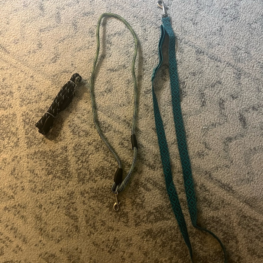 Target Dog Leashes - Black, Green, Blue